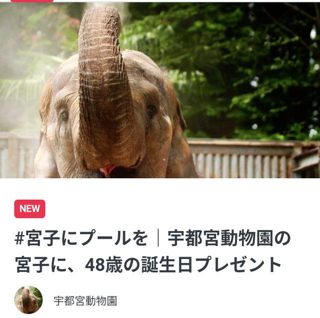 宇都宮動物園